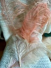 Antique feathers millinery for sale  WORTHING