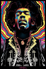Official jimi hendrix for sale  Woodland Hills