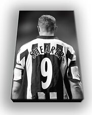 Newcastle united alan for sale  ACCRINGTON