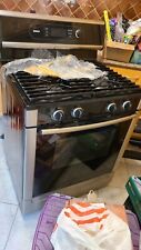 cleaning gas stove self for sale  Burtonsville