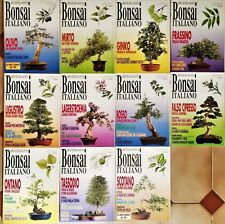 Collezione rivista bonsai usato  Selargius