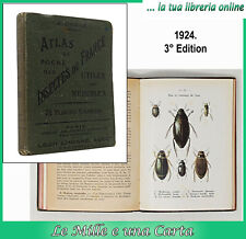 Libro entomologia atlante usato  San Germano Chisone