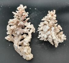 Large dead coral for sale  Mahopac