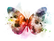 Butterfly art print for sale  WALSALL
