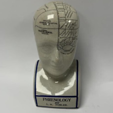 phrenology head for sale  GRIMSBY