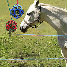 Pferde leckerli ball gebraucht kaufen  Euskirchen