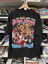 Camiseta Vintage 90 Chicago Bulls Rap 23x31 Talla L Michael Jordan Pippen Rodman segunda mano  Embacar hacia Argentina