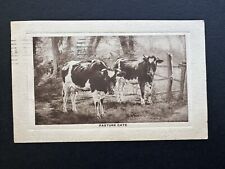 Postcard vintage 1910 for sale  Franklinton