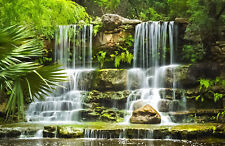 10x8ft Green Jungle Garden Scenery Waterfall Photo Background Vinyl Backdrop LB for sale  Shipping to South Africa