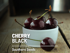Cherry black cherry for sale  Frisco
