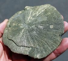 Large pyrite sun for sale  Sandy