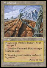 Wasteland tempest mtg for sale  Shipping to Ireland