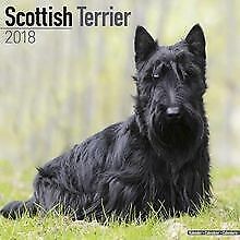Scottish terrier calendar for sale  Shipping to Ireland