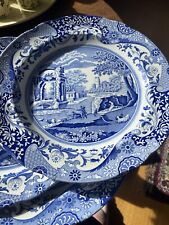 spode blue italian for sale  ALFORD