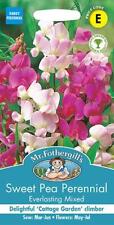 Sweet pea perennial for sale  NEWMARKET
