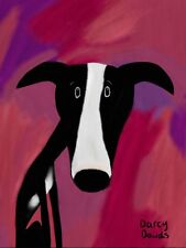 Whippet lurcher greyhound for sale  EPSOM