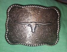 Texas longhorn cowboy for sale  Laramie