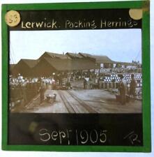 Lerwick packing herring for sale  UK