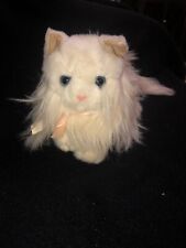 White persian kitty for sale  Lawrenceville