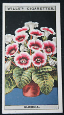 GLOXINIA  Vintage 1920's Illustrated Botanical Card  DD26 for sale  Shipping to South Africa