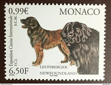 Monaco 2001 dog for sale  STOKE-ON-TRENT