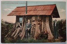 Vintage big cedar for sale  Lake City