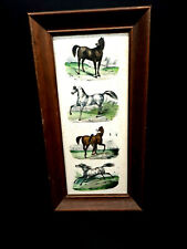 Vintage quatro cavalos exibição vertical 8X16 Estampa emoldurada, usado comprar usado  Enviando para Brazil
