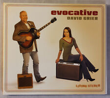 Usado, Guitarra Evocative por David Grier (CD, 2009) comprar usado  Enviando para Brazil