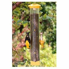 bird feeders nyger thistle for sale  Sterling