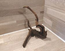 Small natural bogwood for sale  ROCHDALE