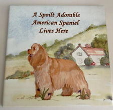 American spaniel vintage for sale  SOUTHPORT