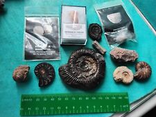 Collection assorted fossils for sale  WEST BROMWICH