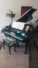 Steinbach pianoforte coda usato  Fragagnano