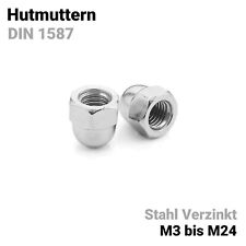 Hutmutter m24 hutmuttern gebraucht kaufen  Hoppstädten-Weiersbach