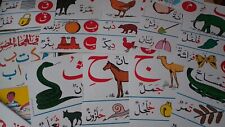Lernkarten arabisch gebraucht kaufen  Hamburg