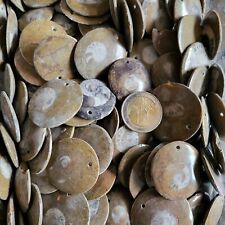 Stk kettenanhänger ammoniten gebraucht kaufen  Moosthenning