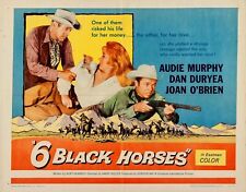 Six black horses for sale  BLACKWOOD