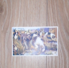 Vintage postcard otterhounds for sale  BRIGHTON