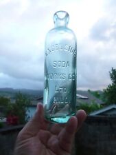 Hawaii bottle excelsior for sale  Kalaheo