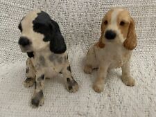 Cocker spaniel pair for sale  ELY