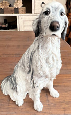 English setter dog for sale  Spring Hill