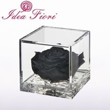 Flowercube rosa stabilizzata usato  Mirabella Eclano