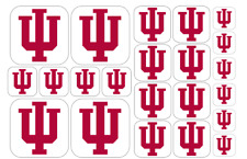 Indiana hoosiers team for sale  Chapel Hill