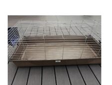Indoor pet guinea for sale  LLANYMYNECH