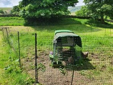 omlet chicken fencing for sale omlet chicken fencing for sale YORK
