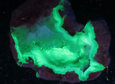 Dugway fluorescent geode for sale  Bath