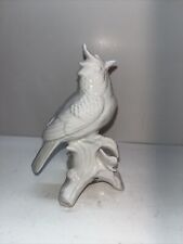 White cardinal bird for sale  Tracy