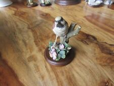 Country artists sparrow for sale  STAFFORD