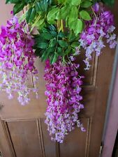 wisteria for sale  BLAIRGOWRIE