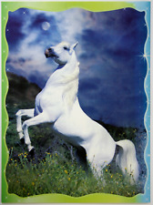 Dünne pferd postkarte gebraucht kaufen  Langen